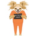Mugshot prison clothes dog Chihuahua